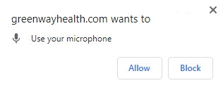 Allow Microphone